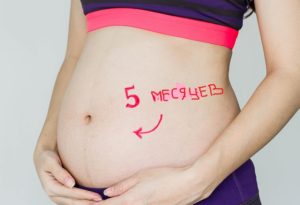 5 месяц беременности
