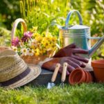 Чем нужно заниматься дачникам и огородникам в июле?