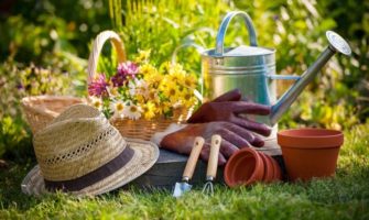 Чем нужно заниматься дачникам и огородникам в июле?